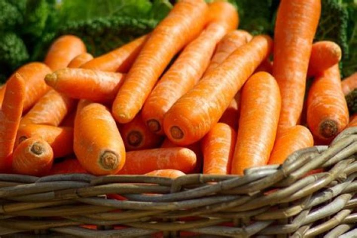 50 Interesting Carrot Facts That You Never Knew About