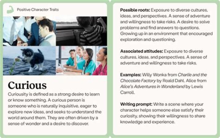 A Comprehensive Guide To "People Are Curious About What Will Happen"