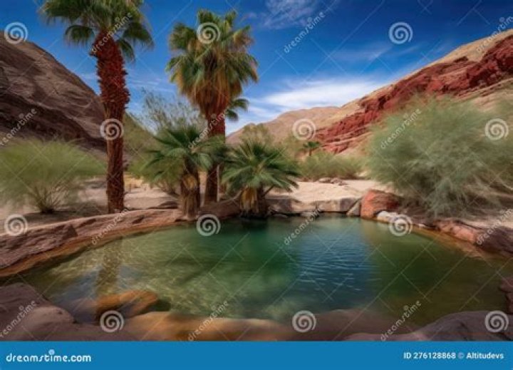 A Culinary And Scenic Oasis