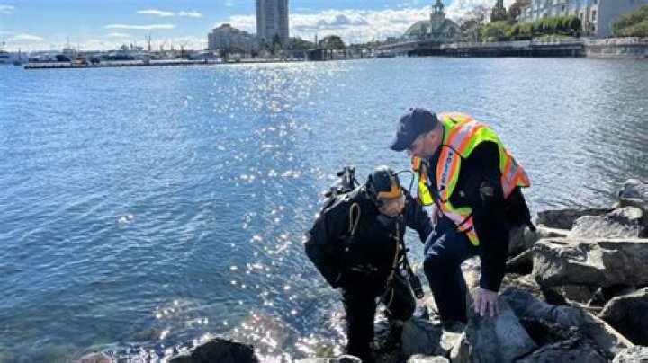 A Deep Dive Into "Stabbing Reno NV"