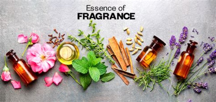 A Journey Of Fragrance And Cultural Delights