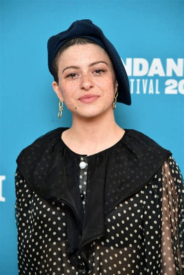 Alia Shawkat Parents, Wiki, Biography, Age, Siblings, Boyfriend, Career, Net Worth & More. ·