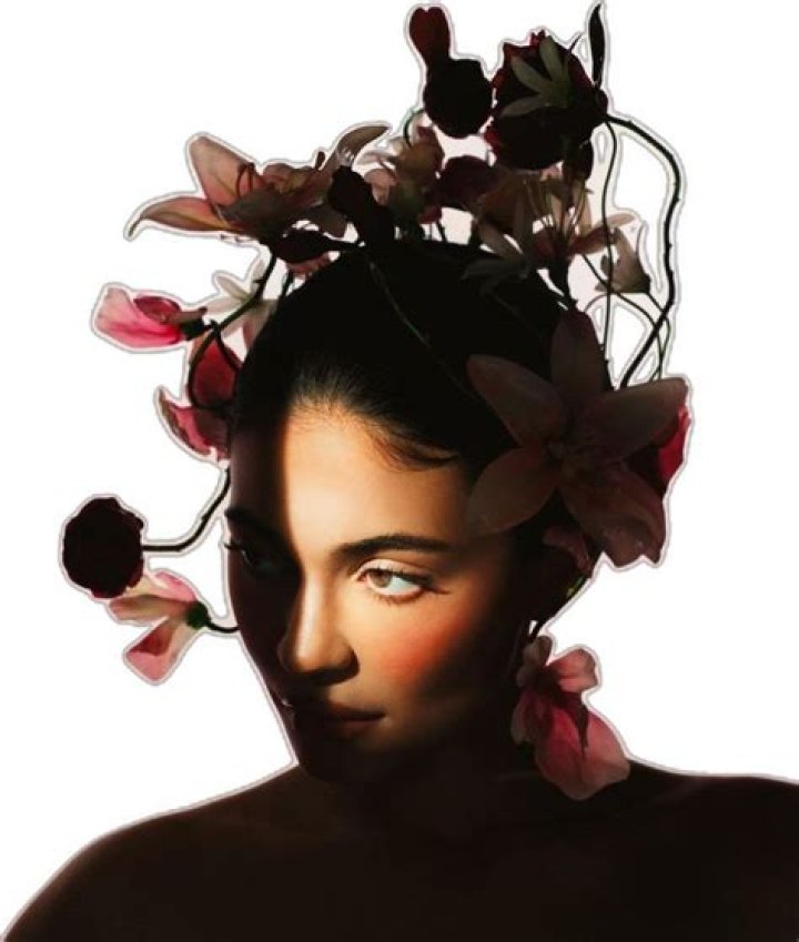 Andrea Clevenger | VivaVibe