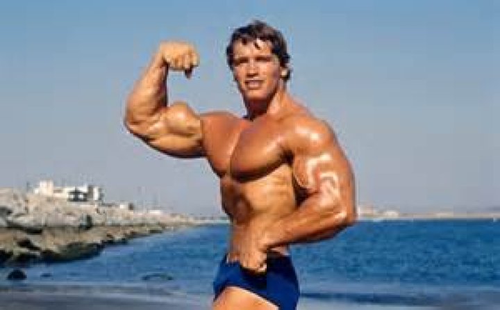 Arnold Schwarzeneggers Sons: Photos Hollywood Life