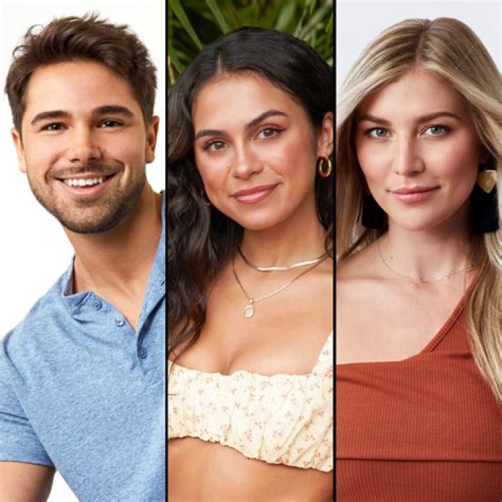 Bachelor In Paradise fans wanted to 'hug' Tyler Norris after Brittany Galvin split