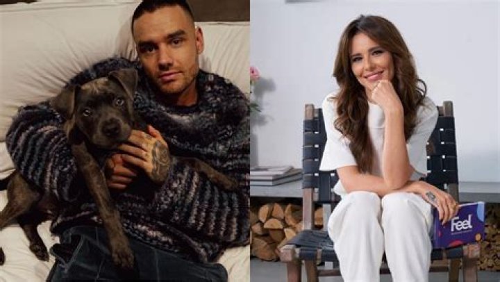 Bear Grey Payne- Meet Single Son Of Liam Payne and Cheryl Cole ·