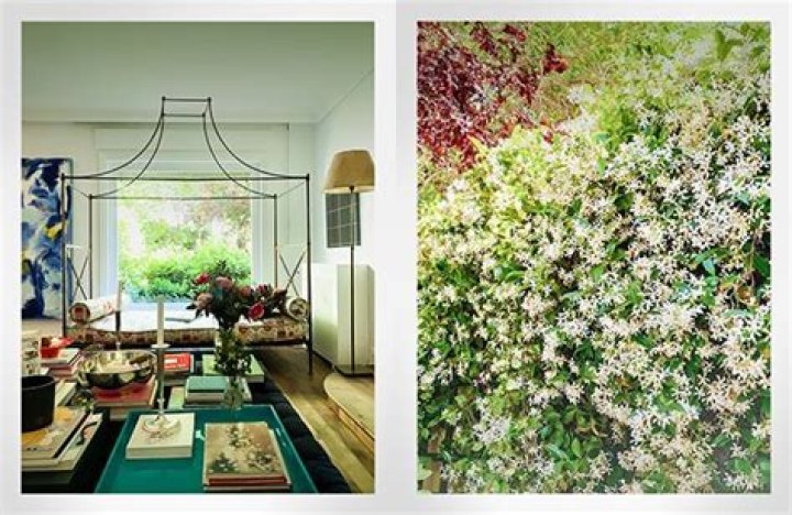 Carolina Herrera talks jewels, everyday glamour and lockdown life ·