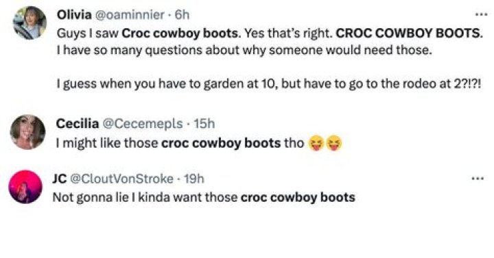 Celebrate Croctober with Memes of New Croc Cowboy Boot ·