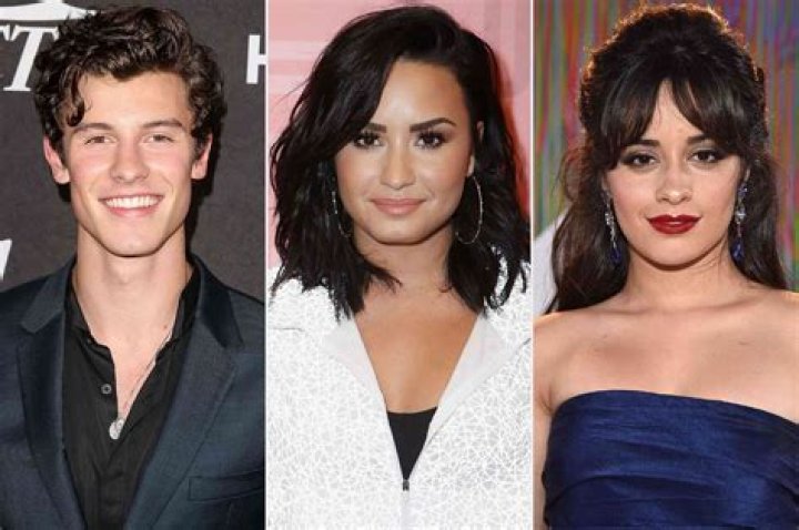 Demi Lovato Supports Shawn Mendes After He Postponed Tour |