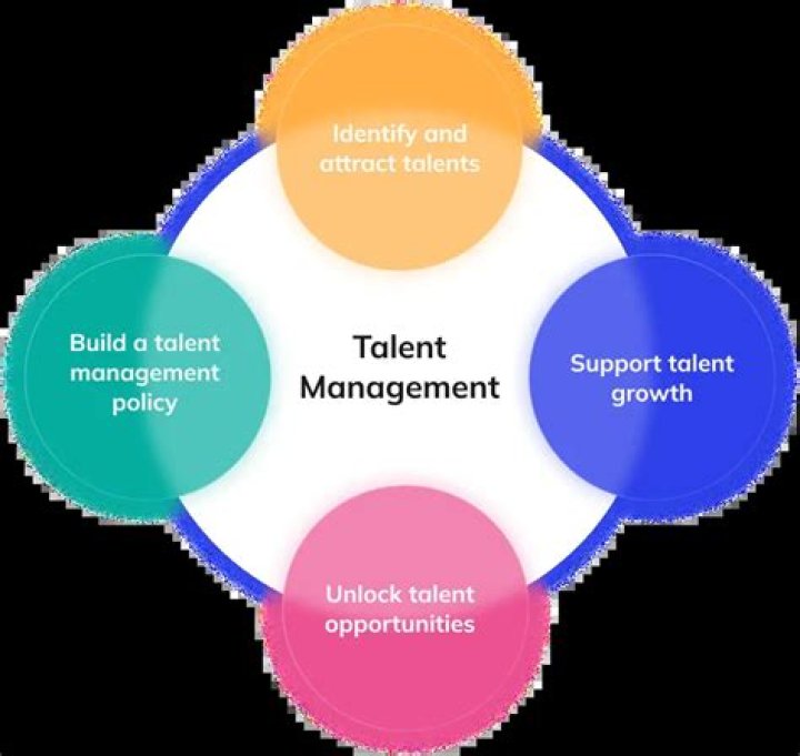 Discover A World Of Talent Management Insights