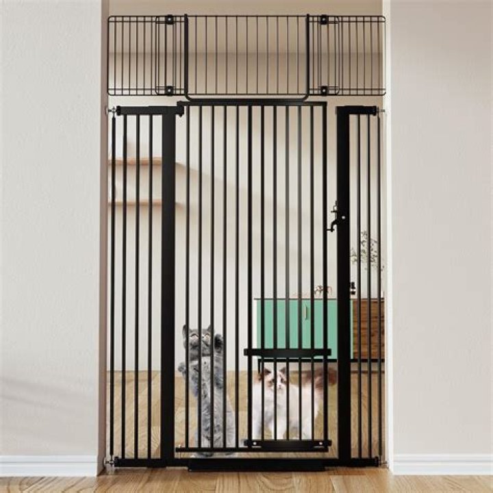 Discover The Ultimate Guide To Top Paw Extra Tall Pet Gates