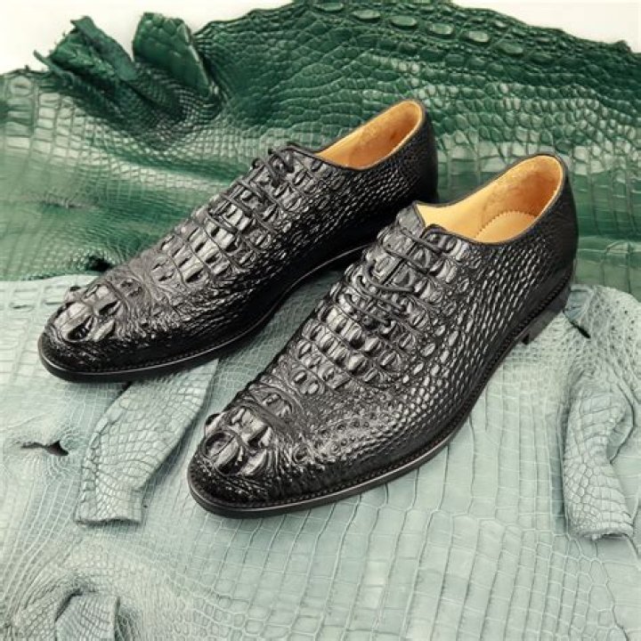 Discover The World Of Report Slip-On Shoes