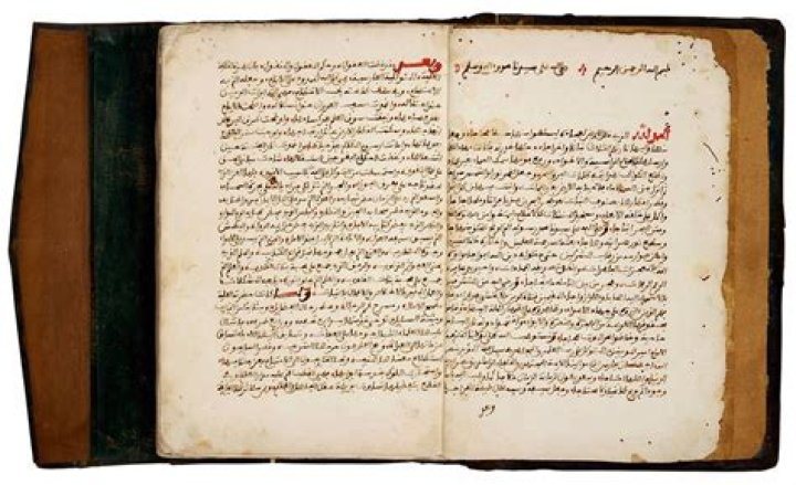 Discoveries And Insights From His Bio, Age, And Wiki Facts