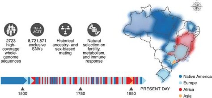 Discoveries And Insights Into Celebrities Named Katie