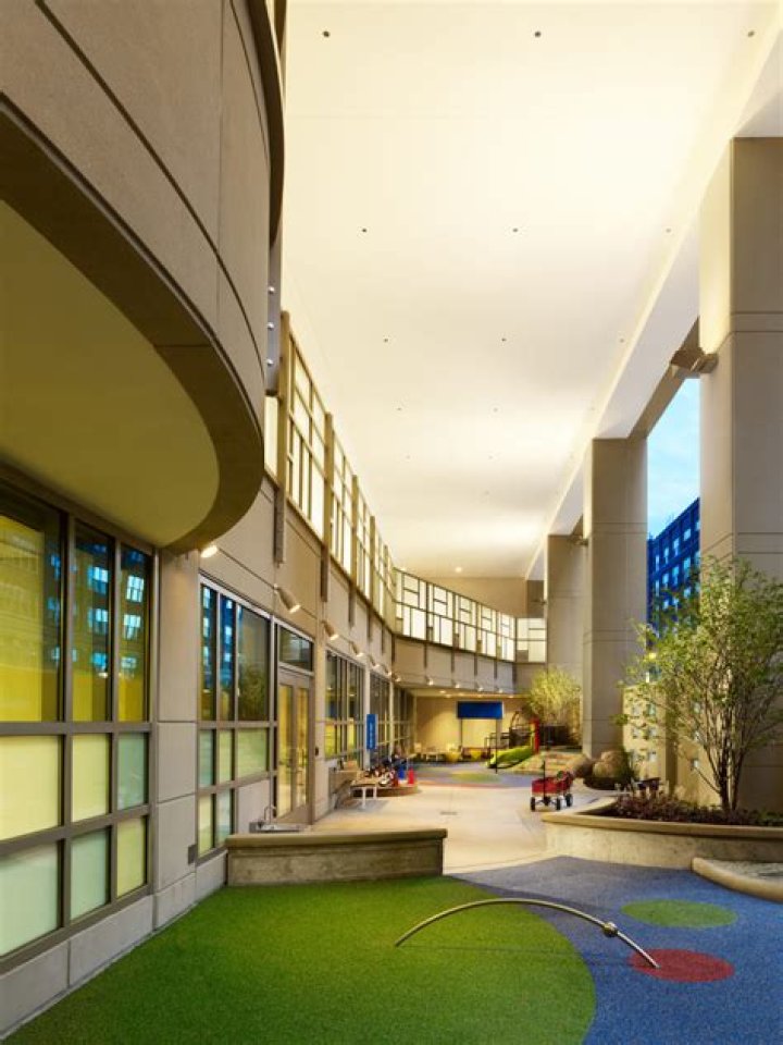 Discoveries And Insights On Bernice Lavin's Legacy