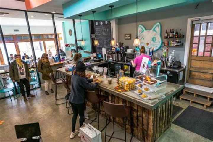 Discoveries At "cat Cafe Bentonville Ar"