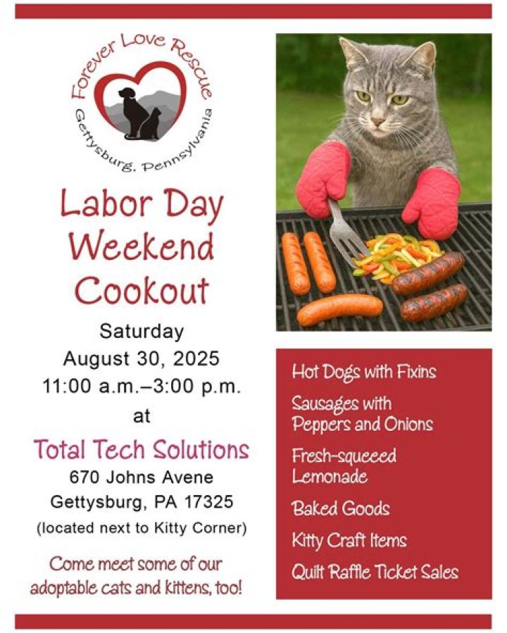 Discoveries From "Kittens Having A Cookout"