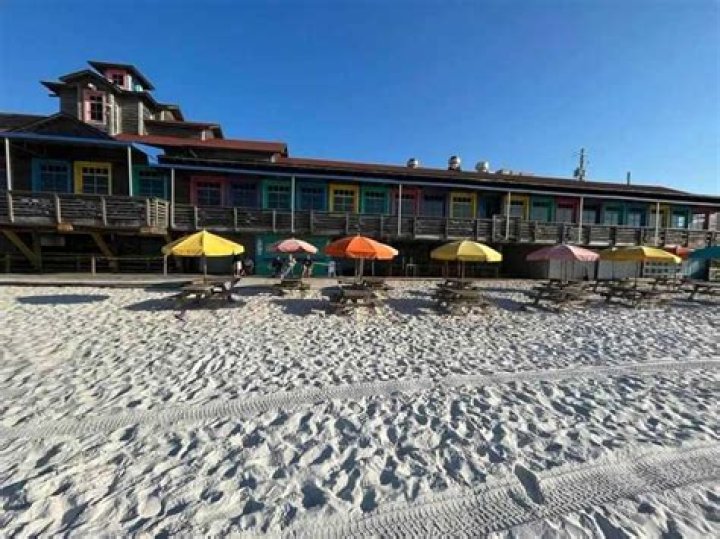 Dive Into Paulina Rubio's Beachside Adventures