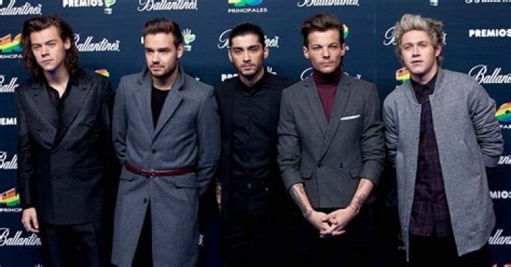 Everything One Direction Alums Have Said About Leaving the Band |