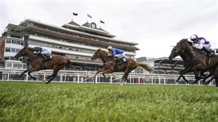 Full results from Newbury this Saturday |