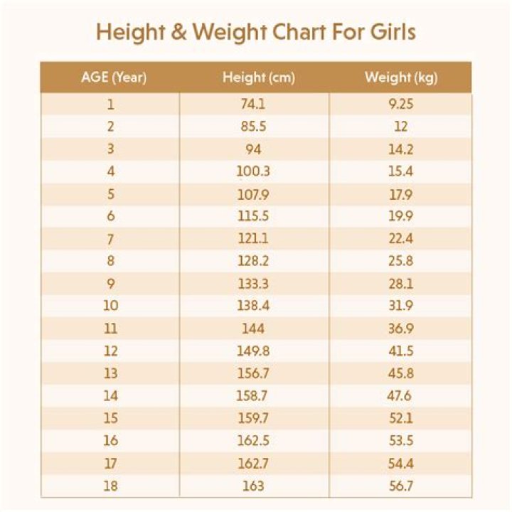 Height, Weight, And Physical Stats