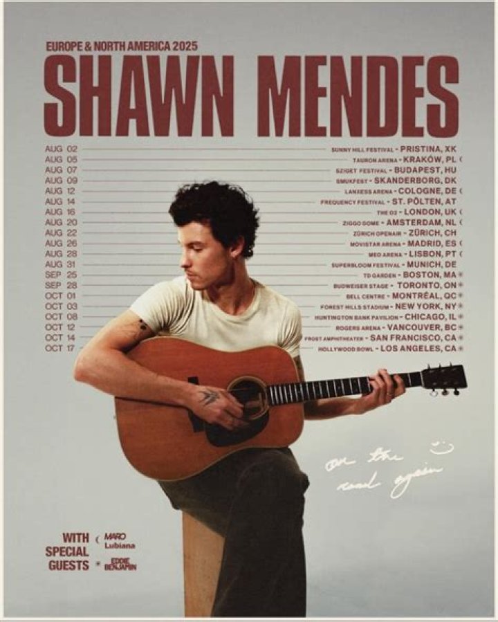 How Authenticity Inspired Shawn Mendes' Hit Song "Summer"