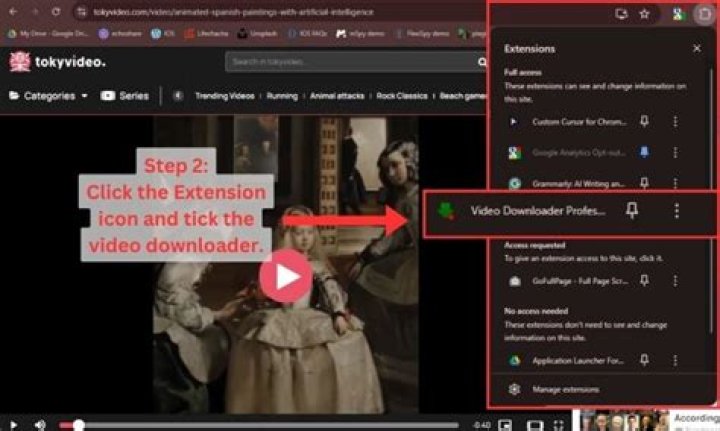 How To Download Tokyvideo Videos