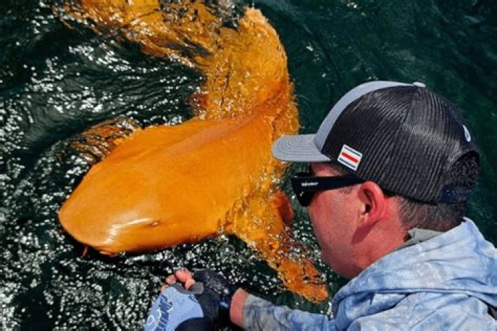 Jana Duggar shatters dad Jim Bobs strict dress code as she resurfaces in rare photo with brother