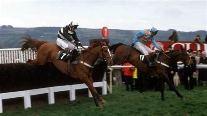 Johnson could still ride Coneygree The Sun |