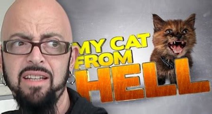 My Cat from Hell Star, Jackson Galaxy Is Married To Minoo Rahbar Since 2014 ·