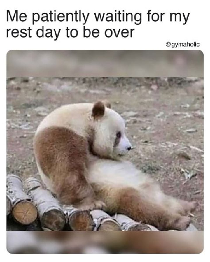 Patiently Wait for the Nevada Results With These Very Impatient Memes