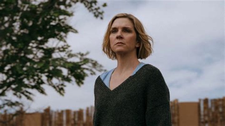 Rhea Seehorn's Spouse And Their Enduring Connection