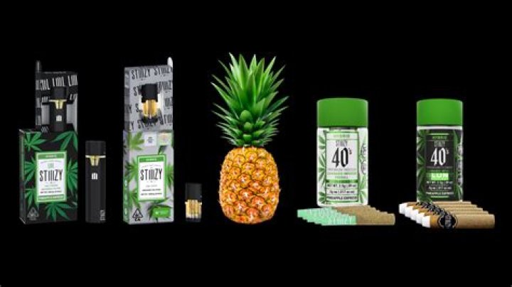 Seth Rogen Didn't Invent the 'Pineapple Express' Cross Joint; the Idea Came From a Book ·