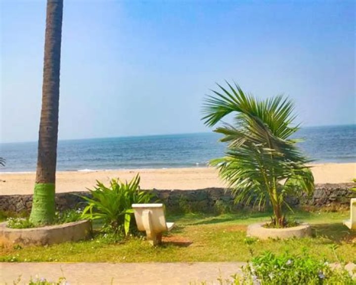 Sunny Deol's Reaction To Juhu Beach Development Sparks Environmental Concerns