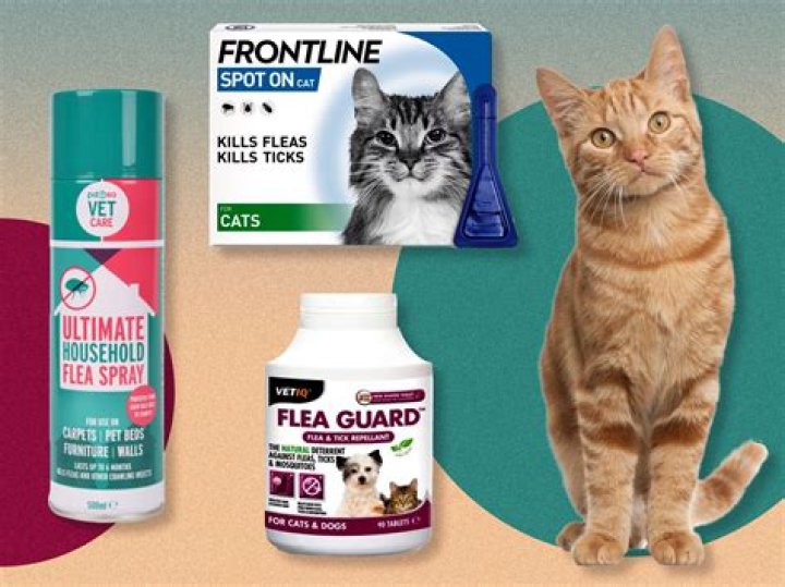 The 5 Best Flea Treatments for Cats of 2024, According to Vets