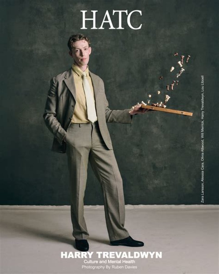 The Ultimate Guide To Harry Trevaldwyn