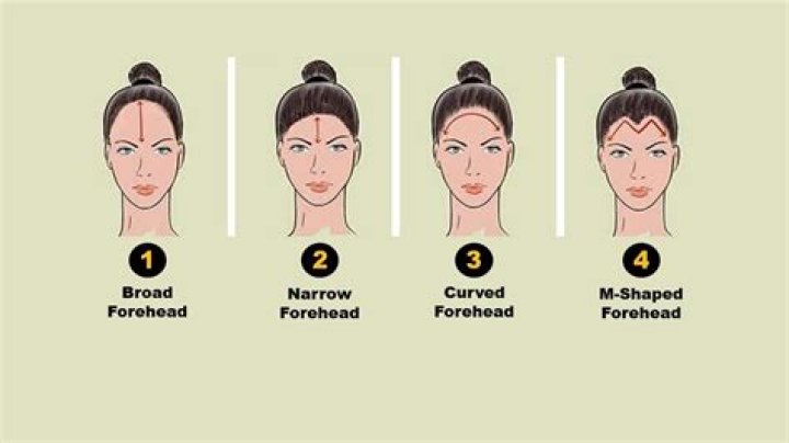 The Ultimate Guide To Understanding The Largest Foreheads: Unveiling The Secret To Prominent Brows