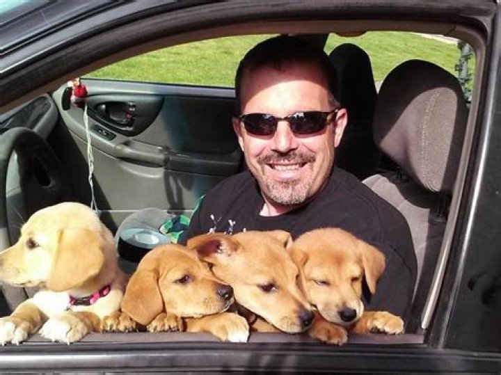 Todd Stoiber Obituary: Remembering A Longtime Native