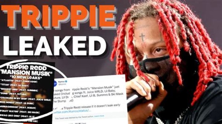 Trippie Bri Of Leaks' Musical Journey And Impact