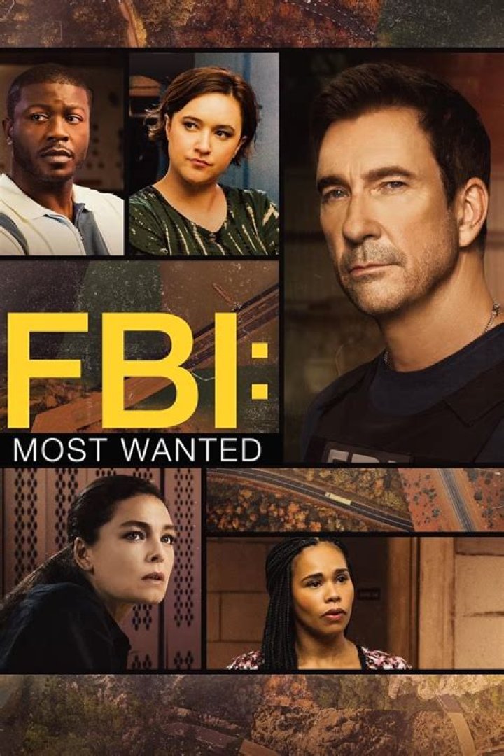Uncover The Hidden Wealth Of The "FBI: Most Wanted" Cast