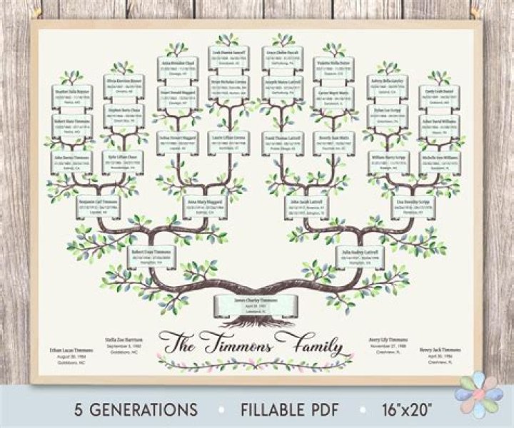 Uncover The Madea Family Legacy: A Genealogical Journey