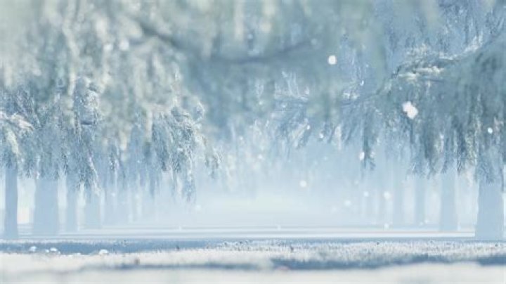 Uncover The Reasons Behind Deshawn Snow's Firing