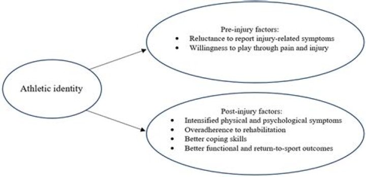 Uncovering The Life And Impact Of Athletic Coach Cole Fitzgerald