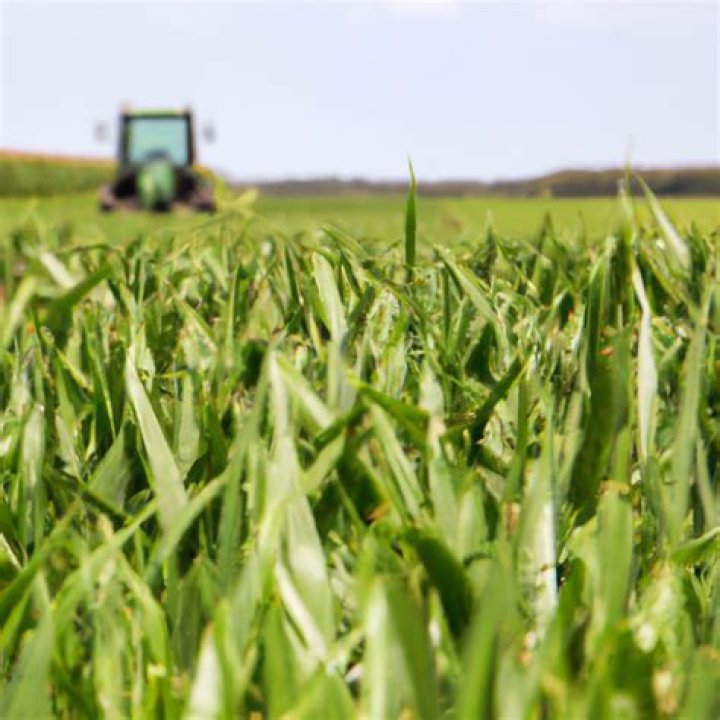 Uncovering The Reasons And Future