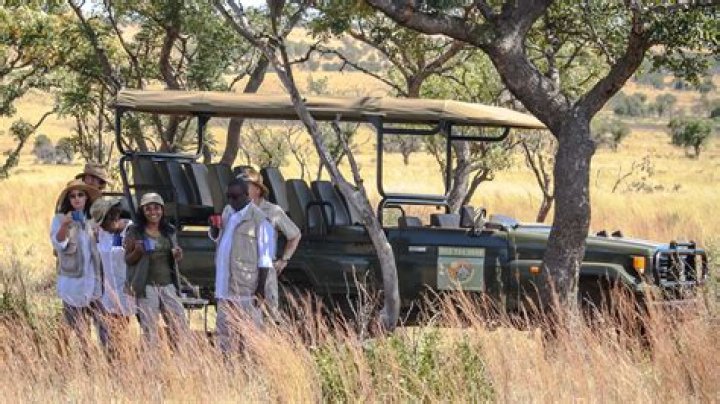 Unveil Africa's Secrets At Ikhaya Safari Lodge: A Journey Of Discovery