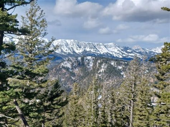 Unveiling Kelly Montana's Trailblazing Career: Discoveries And Insights