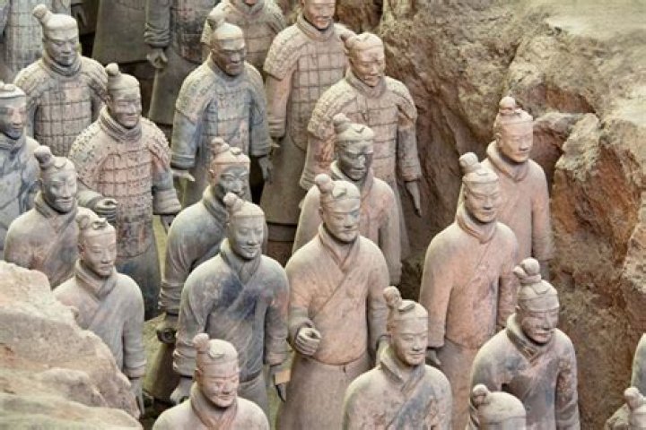 Unveiling The Emperor's Embrace: Discoveries And Insights