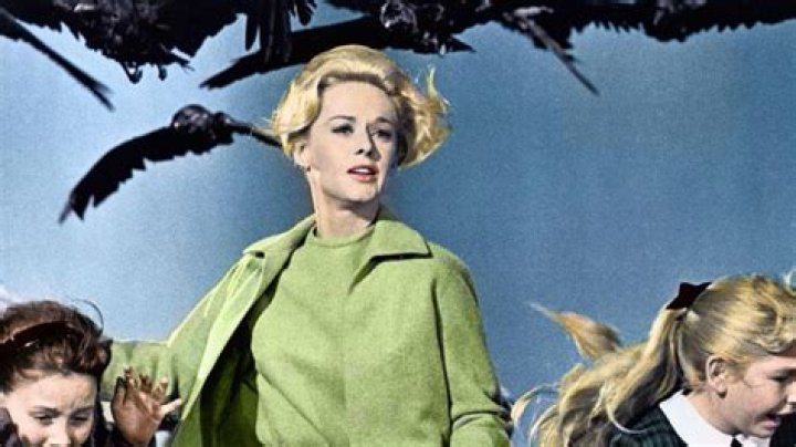 Unveiling The Enigmatic Allure Of Tippi Hedren's Feet: A Journey Of Discovery