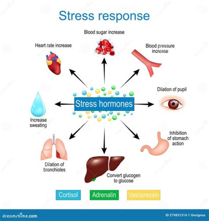 Unveiling The Justin Eller Accident And Its Impact