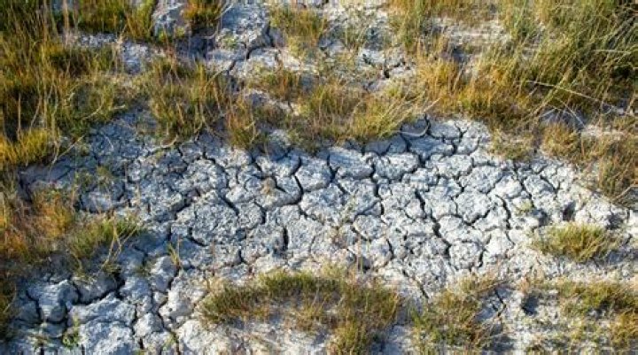 Unveiling The Natural Causes Behind His Passing